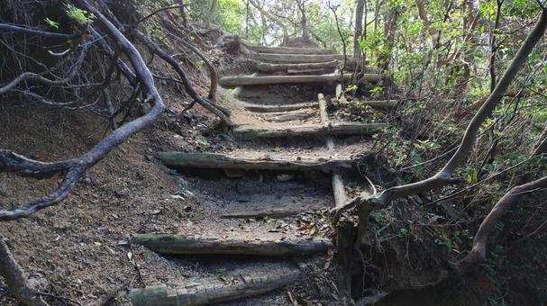 登山道の階段 階段,山道,登山の写真素材