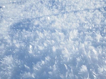 雪・霧氷 雪・霧氷の写真