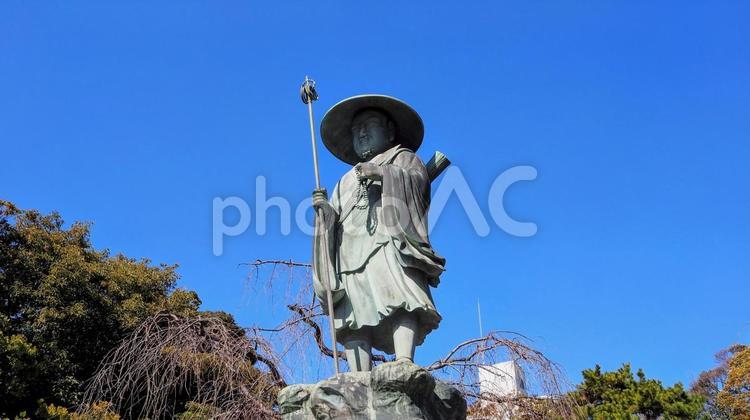 早春の西新井大師の境内（足立区・西新井） 早春,西新井大師,境内の写真素材