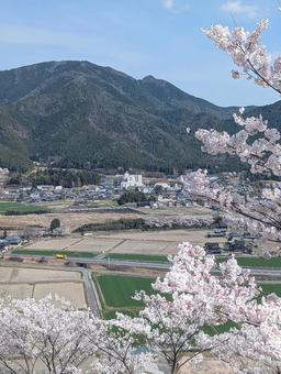 春の風景 春の風景の写真