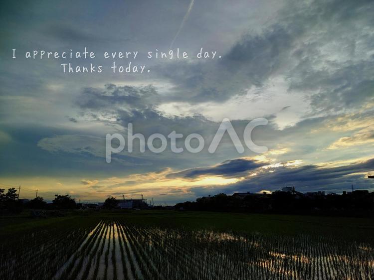 夕暮れ 夕日,夕焼け,キラキラの写真素材