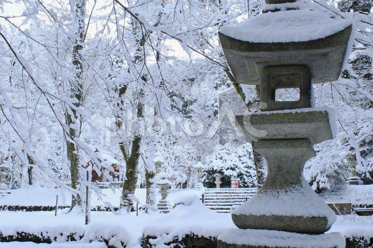 積雪した井伊神社境内の風景です 冬,雪,積雪の写真素材
