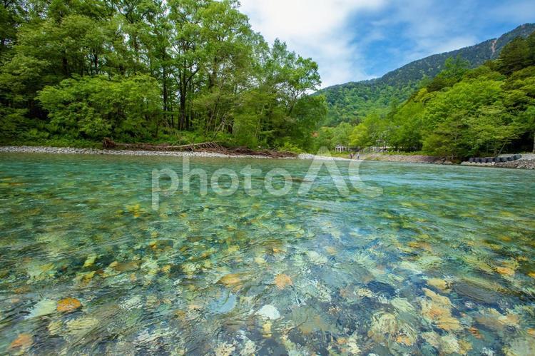 長野県　新緑の上高地　梓川　 上高地,長野,風景の写真素材