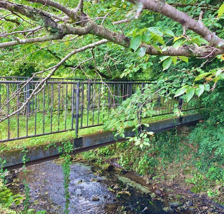 人の通らなくなった橋2 川,橋,草木の写真素材