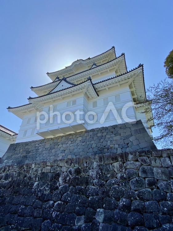 青空の映える小田原城天守閣 小田原城,城,天守閣の写真素材