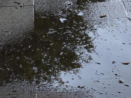 水溜まり 水溜まりの写真