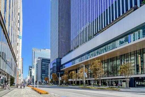 黄色く色づいた銀杏が彩る都会の大通り オフィス街,通り,紅葉の写真素材