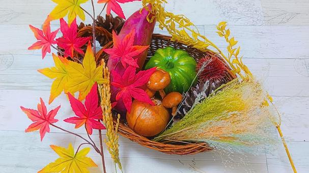 秋 イメージ9 秋,10月,11月の写真素材