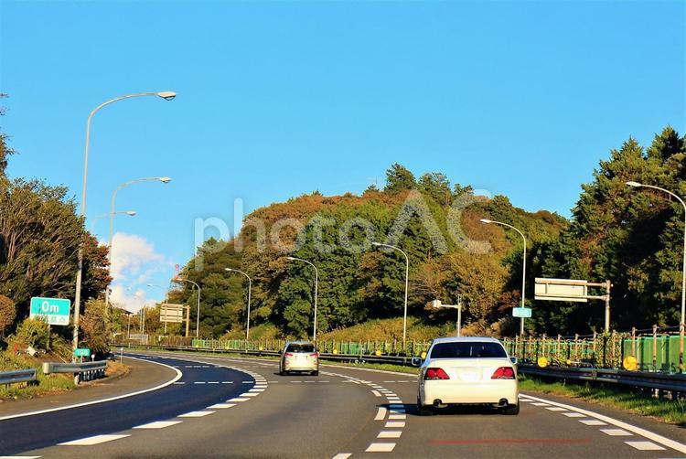 車間距離確認地点　０mは紅葉の季節 紅葉,美しい,きれいなの写真素材