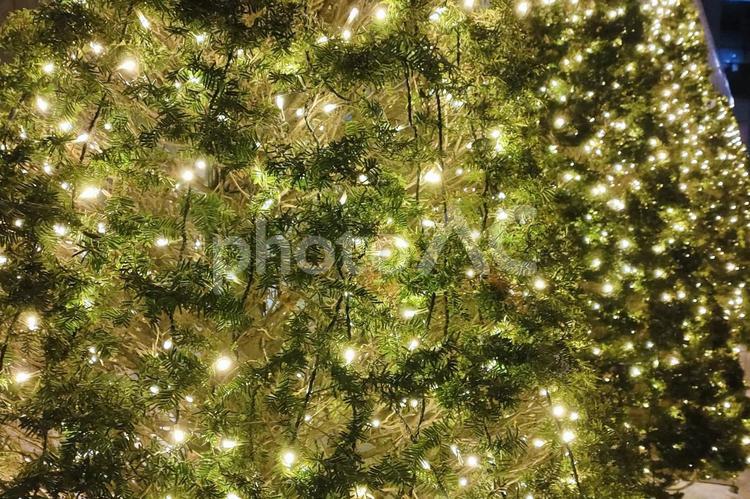 クリスマスの風景 クリスマス,イルミネーション,クリスマスツリーの写真素材