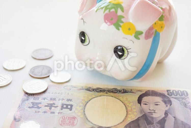 豚の貯金箱と現金2 豚の貯金箱,貯金箱,ちょきんばこの写真素材