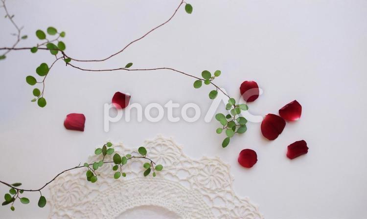 花びら、薔薇、緑と花、背景、レトロ、白背景 真紅,赤,ハートの写真素材