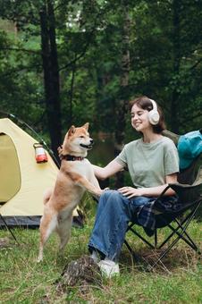 犬をなでる女性 女性,外国人,犬の写真素材