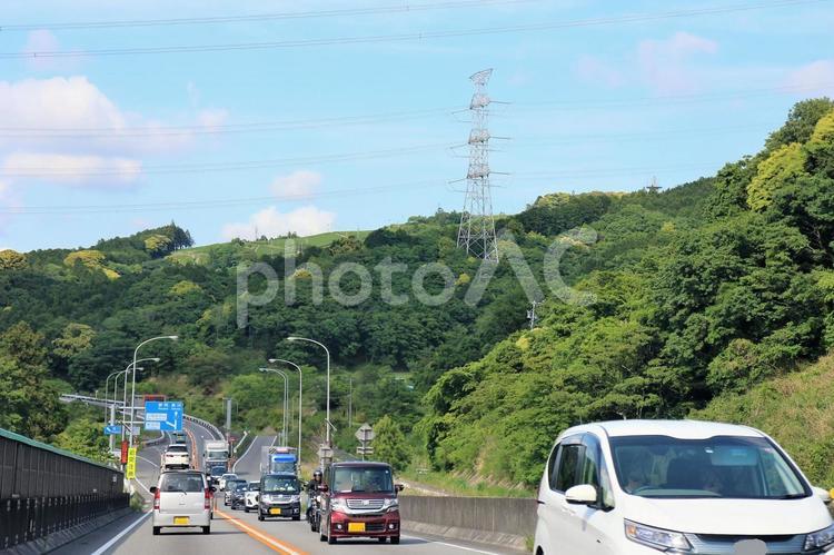 下り坂　カーブ　茶畑の見える春のバイパス道路 道路,坂道,下り坂の写真素材