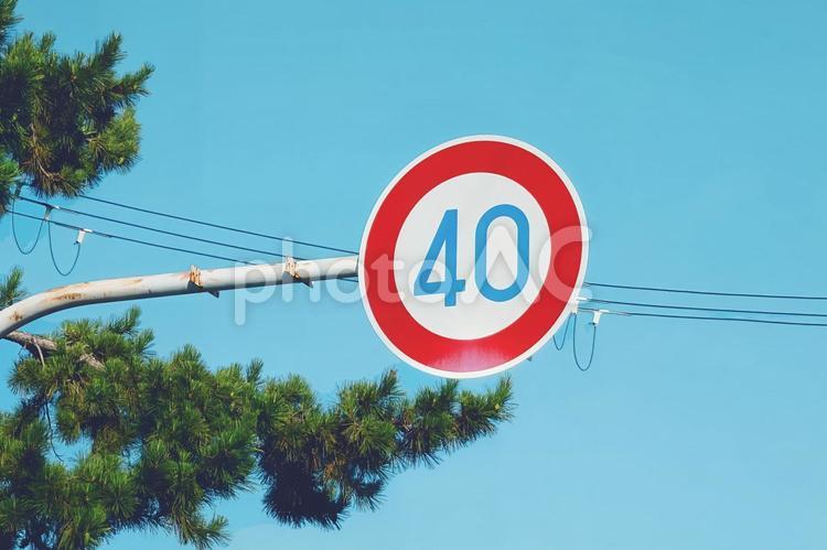 日本の標識　速度制限　時速40㎞ 道路標識,標識,速度制限の写真素材