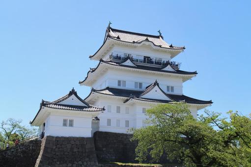 小田原城 小田原城 小田原城,城址,日本100名城の写真素材