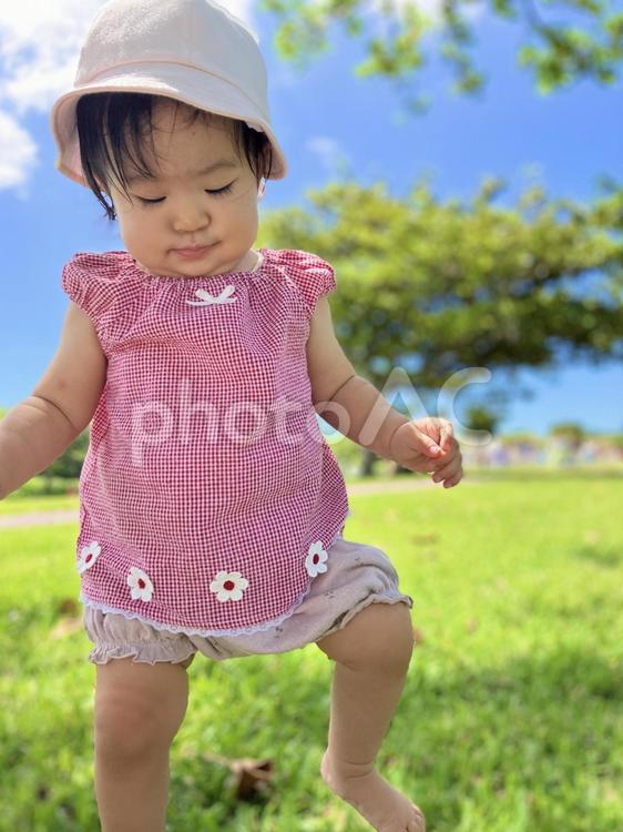 草原を踏みしめる子供 子供,草原,青空の写真素材