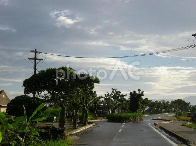 竹富島の集落へと続く道 竹富島,道,道路の写真素材