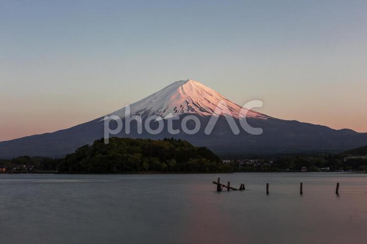 夕暮れの富士 富士,河口湖,夕暮れの写真素材