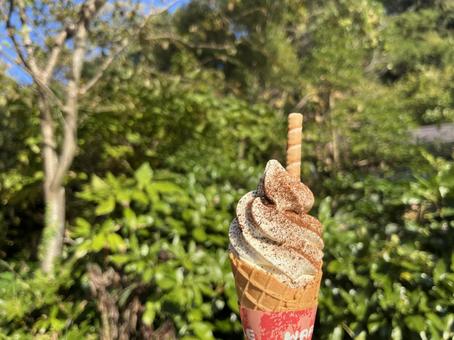 ソフトクリーム コーヒーソフト,ソフトクリーム,おいしいの写真素材