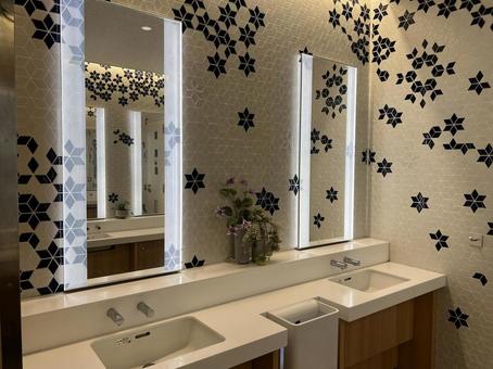 空港トイレの洗面台と装飾植物 空港トイレの洗面台と装飾植物 成田空港,空港,トイレの写真素材