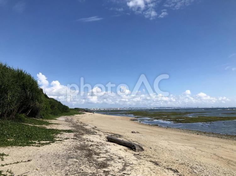 沖縄の海の風景 沖縄,観光,旅行の写真素材