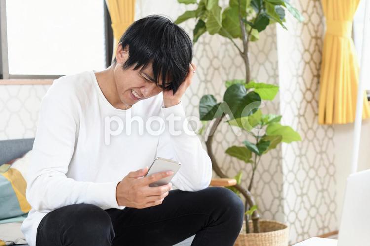 スマホを操作しながら頭を抱える若い男性 テレワーク,男性,ビジネスの写真素材
