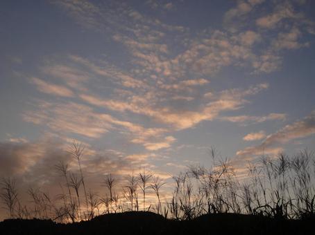 夕暮れの空とすすき*山の風景 夕暮れの空とすすき*山の風景の写真
