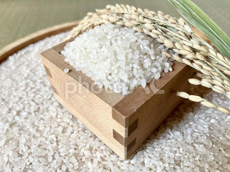 畳と米と稲穂　よこ 米,米粒,新米の写真素材