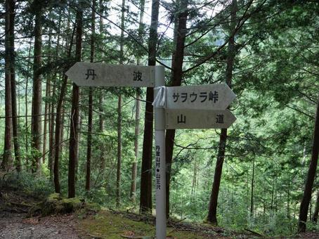 飛龍山の山王沢 飛龍山の山王沢の写真