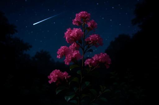 夜空のサルスベリと流星 夜空のサルスベリと流星の写真