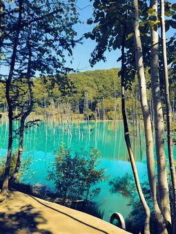 青の湖 自然,風景,映り込みの写真素材