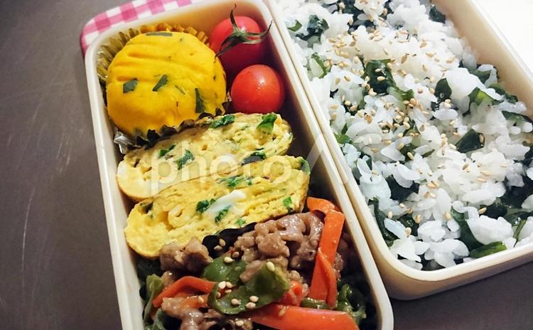 手作りのお弁当 お弁当,手作り,ランチの写真素材