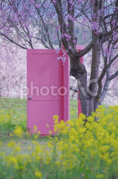 栃木県益子町　小宅古墳群 栃木県,益子町,小宅古墳群の写真素材