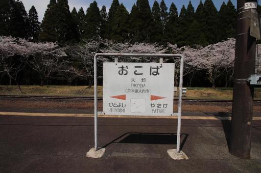 Photo, ohata station, line, cherry blossoms, 