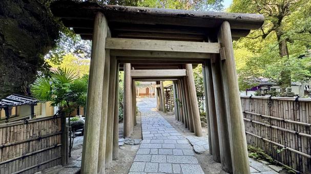 銭洗弁財天鳥居通路 銭洗弁財天鳥居通路 銭洗弁財天,宇賀福神社,鳥居の写真素材
