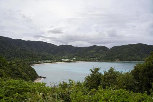 奄美大島 奄美大島の写真