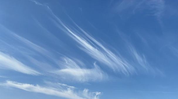 青空と線状の雲 青空と線状の雲の写真