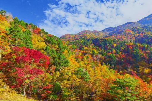 紅葉の山並みと秋の青空2 紅葉の山並みと秋の青空2の写真