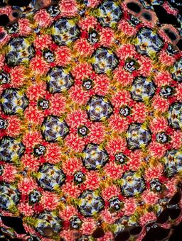 Photo, image, kaleidoscope, mirror, 