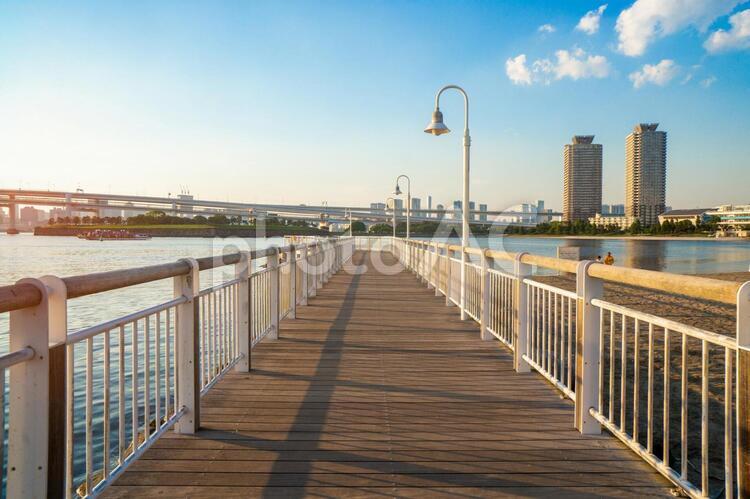 お台場海浜公園の桟橋01 桟橋,お台場,海面の写真素材
