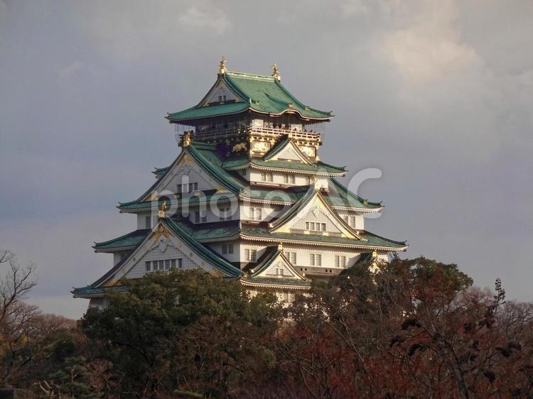 大阪城のイメージ素材 大阪城,大阪城公園,城址の写真素材