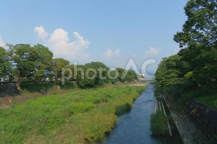 夏空と川と美しいケヤキ並木の風景 夏,川,夏空の写真素材