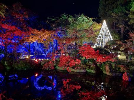 越前陶芸村　陶あかり　福井県陶芸館 福井県陶芸館,幽石庭,灯火の写真素材