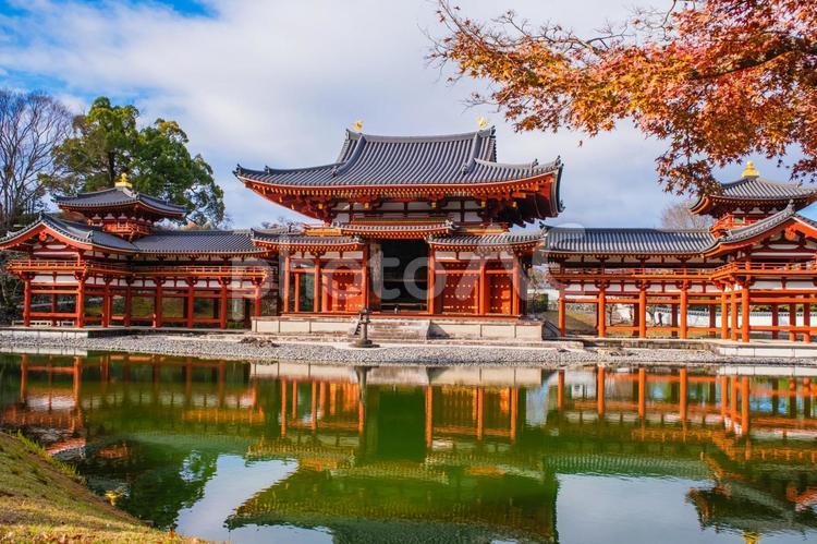 池に映る美しい寺院の紅葉風景   寺院,紅葉,池の写真素材