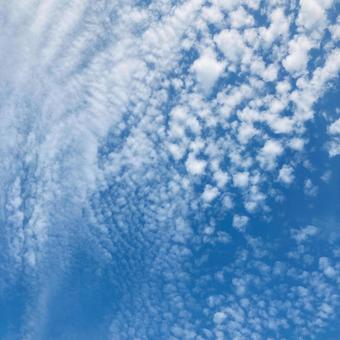 うろこ雲 うろこ雲の写真