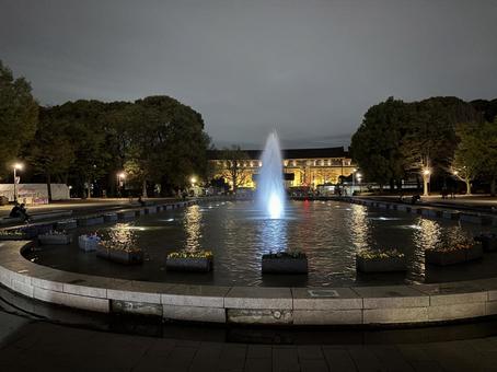 夜の上の公園の噴水 夜の上の公園の噴水の写真