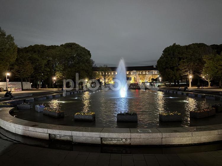 夜の上の公園の噴水 東京,都会,都心の写真素材