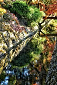 京「哲学の道」散策の写真