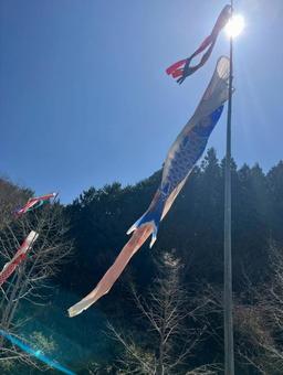 Carp streamers, JPG